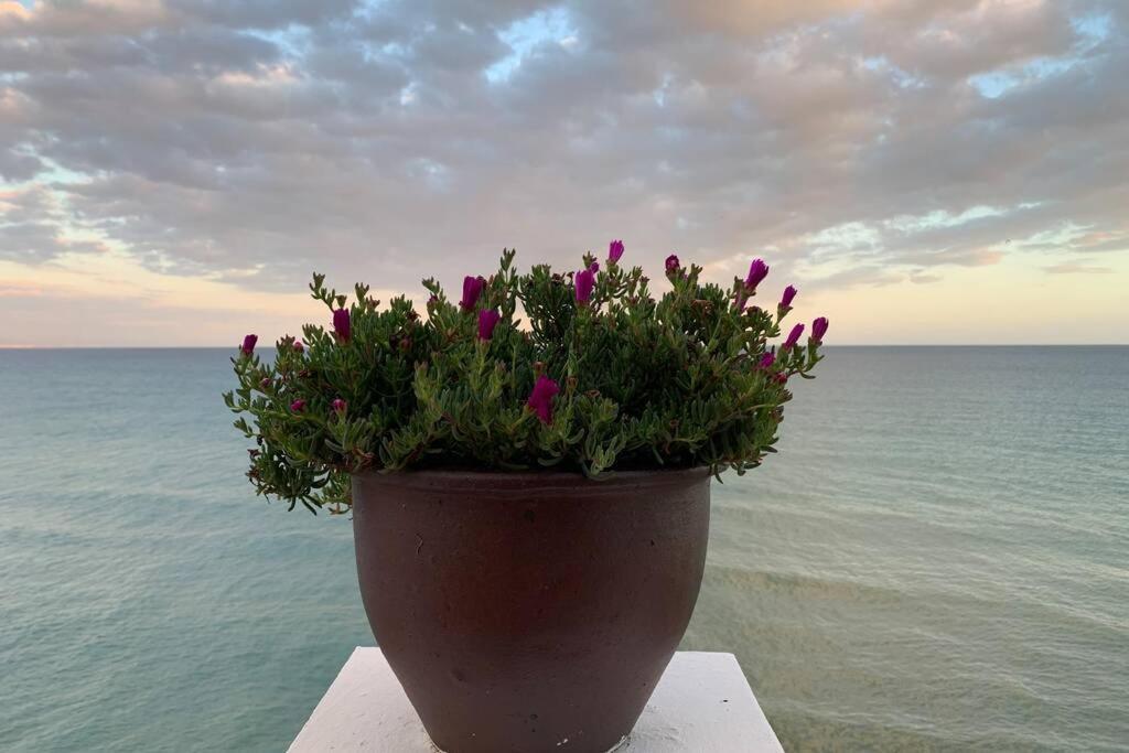 Amazing Frontline Sea Views Studio Apartment Castillo Del Vigia Torremolinos Exterior foto